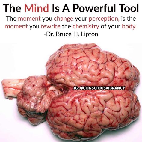 If you learn to control your mind, body and senses then your consciousness will become the best friend you ever had. If not you can become… Biology Of Belief, Control Your Mind, Physiological Facts, Brain Facts, Brain Science, Meditation Benefits, Brain Health, Healthy Mind, Health Awareness