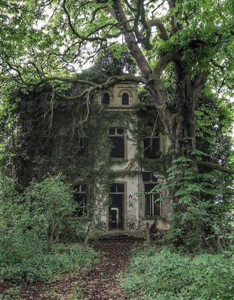 Abandoned house built in 1908 : AbandonedPorn Aesthetic Structures, Eerie Places, Abandoned Town, Old Abandoned Houses, Spooky Places, Hidden In Plain Sight, Unusual Homes, Abandoned Things, Forgotten Places