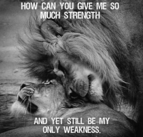 Lioness Quotes, Beast King, Warrior Images, Inspirational Love Quotes, Lion Couple, Black Love Quotes, I Love You Means, Lion Quotes, My Weakness