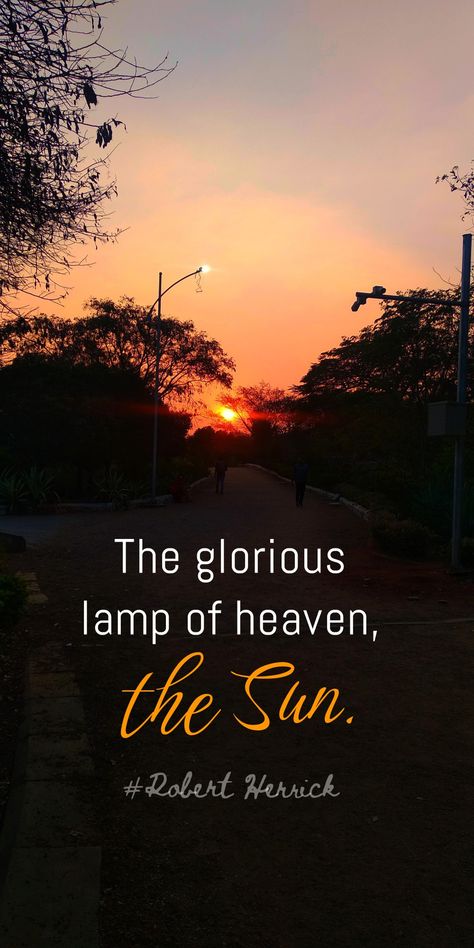 Sun Glare Photography, Collage Story, Compliment Words, Nature Quotes Beautiful, Moon And Star Quotes, Married Life Quotes, Sunset Captions For Instagram, Sunrise Quotes, Environment Quotes