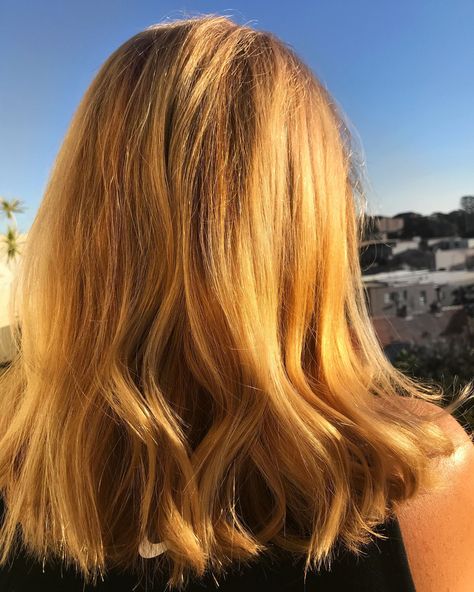 Light Golden Blonde Hair Color, Light Golden Blonde Hair, Light Blonde Hair Dye, Gold Blonde Hair, Yellow Blonde Hair, Light Golden Blonde, Hair Lights, Golden Blonde Hair Color, Blonde Hair Goals