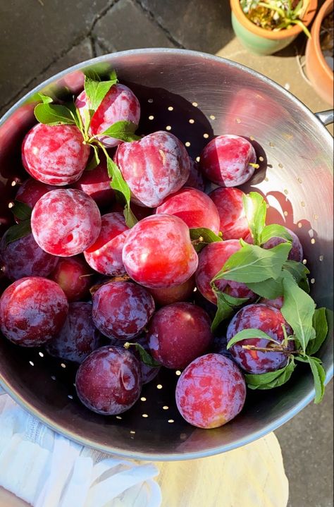 Beautiful Fruits, Fruit And Veg, Fake Story, Food Obsession, Pretty Food, Fruits And Veggies, Aesthetic Food, Summer Aesthetic, Good Eats