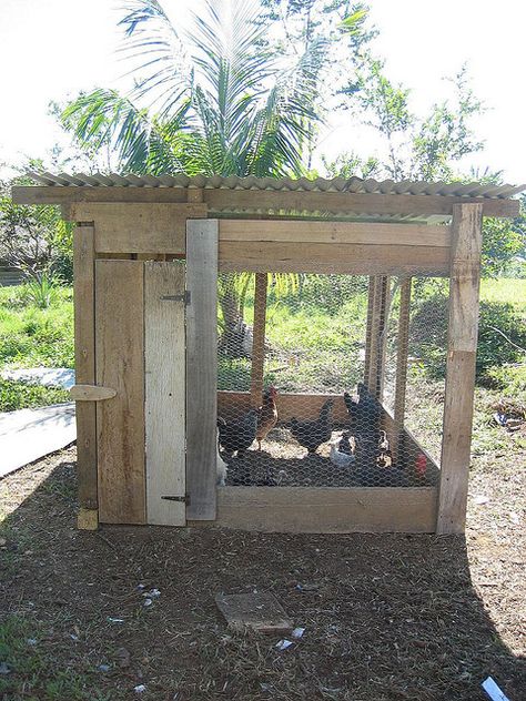 Homemade Chicken Coop, Chicken House Plans, Cheap Chicken Coops, Easy Chicken Coop, Portable Chicken Coop, Chicken Pen, Best Chicken Coop, Coop Design, Chicken Coop Designs