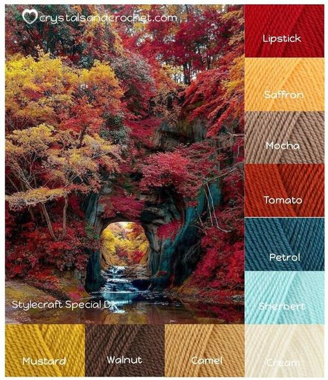 Crochet Colour Combinations, Fall Color Palettes, Colours That Go Together, Yarn Color Combinations, Color Schemes Colour Palettes, Colors And Patterns, Paint Color Palettes, Fall Color Palette, Color Palate