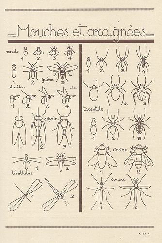 les animaux 30 | Explore pilllpat (agence eureka)'s photos o… | Flickr - Photo Sharing! How To Draw Insects, Bujo Doodles, Doodles Zentangles, Insect Art, Nature Study, Quilt Stitching, Art Instructions, Old Book, Drawing Lessons