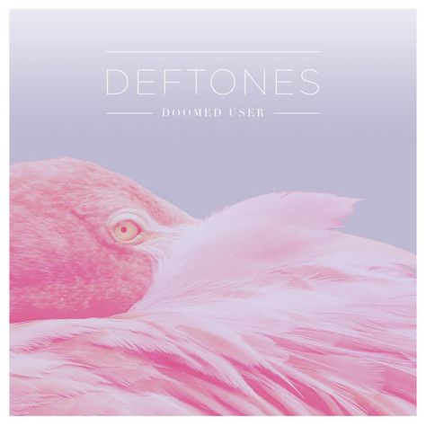 deftones Deftones Artwork, Deftones Gore, Deftones Songs, Music Images, Music Covers, Band Posters, Everything Pink, Metal Music, Music Lyrics