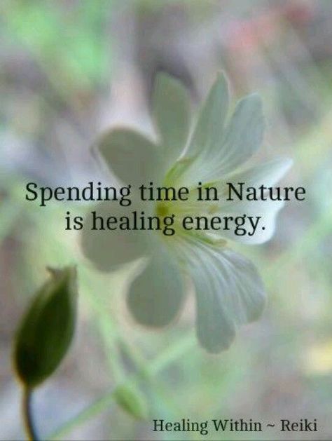 Nature Is Healing, Citation Nature, Essential Oils Kit, Spending Time In Nature, Time In Nature, Garden Quotes, Intp, Nature Quotes, Intj