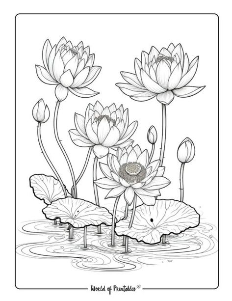 Lotus Art Design, Lotus Drawing Art, Lotus Flower Illustration, Flower Coloring Pages For Kids, Lotus Flower Drawing, Lotus Drawing, Armband Tattoos, Lotus Flower Art, Fabric Painting Techniques