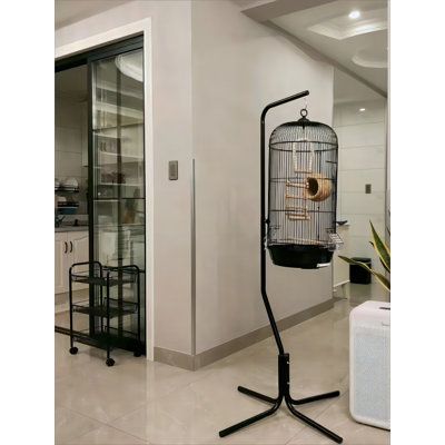 Large black round metal telescopic hanger bird cage toy. | Tucker Murphy Pet™ Aleyah 66.92 Bird Cage black/gray 66.92 x 29.52 x 29.52 in, Iron | C100243492 | Wayfair Canada Modern Bird Cage, Bird Cage Stand, Bird Cage Covers, Hanging Bird Cage, Bird Stand, Iron Metal, Bird Cages, Bird Cage, Large Black