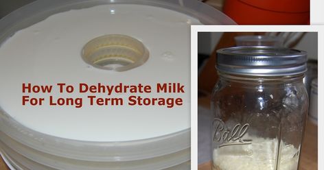 When we started on our preparedness journey, I tried to be practical. I didn't even know what a "prepper" was.  In the beginnin... Food Dehydration, Prepper Food, Emergency Preparedness Food, Canning Food Preservation, Canned Food Storage, Long Term Food Storage, Dehydrated Fruit, Long Term Storage, Home Canning