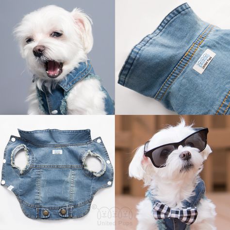 Pet Clothes Patterns, Dog Clothes Diy, Denim Dog, Dog Clothes Patterns, Dog Pajamas, Maltese Dogs, Pet Fashion, Puppy Clothes, Creation Couture