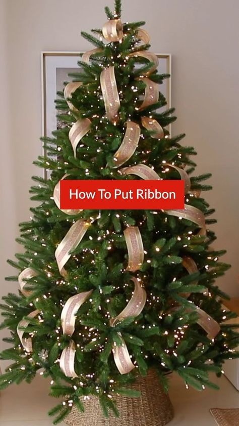 1.8K views · 63 reactions | 🎄✨If you want a new Christmas tree theme each year but without breaking the bank, it’s easy🙌🏼. Just switch up the ribbons!🎀 This is a quick version of my Christmas tree ribboning (part 1). For the full step-by-step tutorial, head over to my YouTube channel. 📽️Link in bio! ‌ #fancybloom #christmastree #christmastreedecorating #christmastree🎄 #christmastreedecorations #ribbon #christmasdecor #christmas #christmastime #christmasdecorations #christmasdecorating #christmasdiy #christmasmood | FancyBloom 🌸 Paper Flowers | Dean Martin · Let It Snow! Let It Snow! Let It Snow! Christmas Tree Theme, Christmas Tree Decorations Ribbon, Elegant Christmas Tree Decorations, Christmas Tree Inspo, Christmas Bows Diy, Pretty Christmas Decorations, Tree Theme, Christmas Tree Decorating Themes, Elegant Christmas Trees