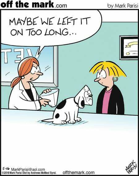 Dog Cone Humor Dog Humor Cartoon, Dog Cone, Dog Humor, Dog Comics, Dog Jokes, Funny Animal Photos, Cartoon Jokes, Fun Comics, Cute Comics