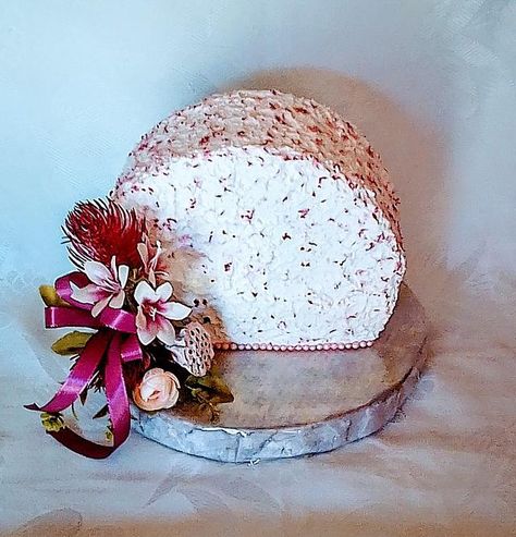 Top forward cake Half Circle Cake Designs, Semi Circle Cake, Top Forward Cake Ideas, Cake Ideas Chocolate, Top Forward Cake, Nutmeg Cake, Arch Cake, Gourmet Pastries, Bake Ideas