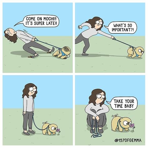 Dog Comics, Puppy Snuggles, Parent Life, A Pug, Dachshund Love, Puppy Eyes, Pet Life, Charles Spaniel, Cute Cats And Dogs