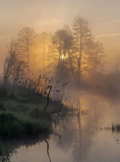 Glowworm Caves, Hall Painting, Hiking Photography, Green Country, William Turner, Poetry Images, Foggy Morning, Places In The World, Beautiful Places Nature