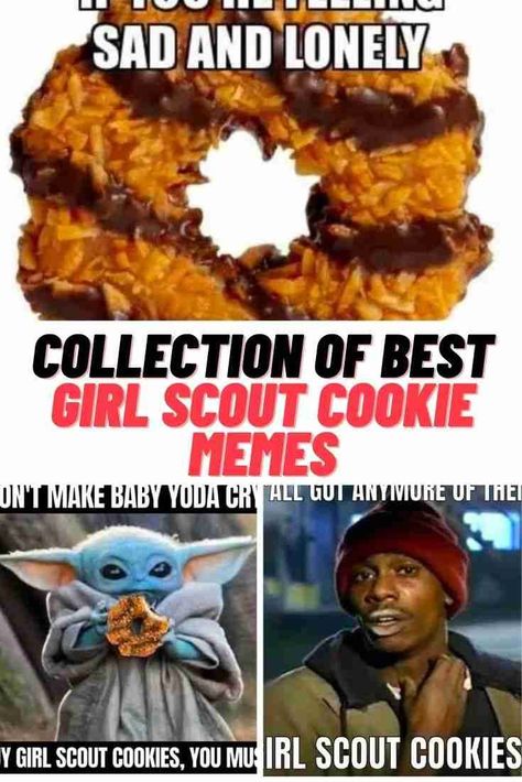 Girl Scout Cookies Memes #GirlScoutCookies #memes #GirlScouts #Cookies #funny Recipes Using Girl Scout Cookies, Funny Girl Scout Cookie Signs, Girl Scout Cookie Valentines, Girl Scout Cookie Memes Funny, Girl Scout Cookies 2024, Girl Scout Cookie Booth Signs, Ryan Gosling Hey Girl Memes, Girl Scout Cookie Signs, Girlscouts Cookies