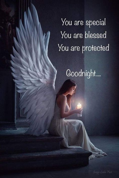 Goodnight sweet Angels. Thank you for being our guardian angels. You are truly a blessing to all of us. Sweet dreams.😇 Angel Photos, Guardian Angel Pictures, Angel Signs, Angel Blessings, God Natt, Angel Quotes, Angel Prayers, Beautiful Angels Pictures, Angel Images