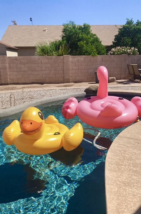 Outdoor Summer Party Aesthetic, Pink Pool Float Aesthetic, Pool Inflatables Aesthetic, Animal Pool Floats, Flamingo Pool Float Aesthetic, Flamingo Inflatable Pool, Staying Up Late, Pool Floats, Disco Party