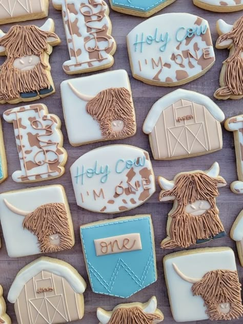 Hyland Cow Cookies, Highland Cow Baby Shower Cookies, Farm Cookies Decorated, Highland Cow Sugar Cookies, Highland Cow Cookies Decorated, Cow Cookies Decorated, Highland Cow Cookies, Gemstone Cookies, Cow Sugar Cookies