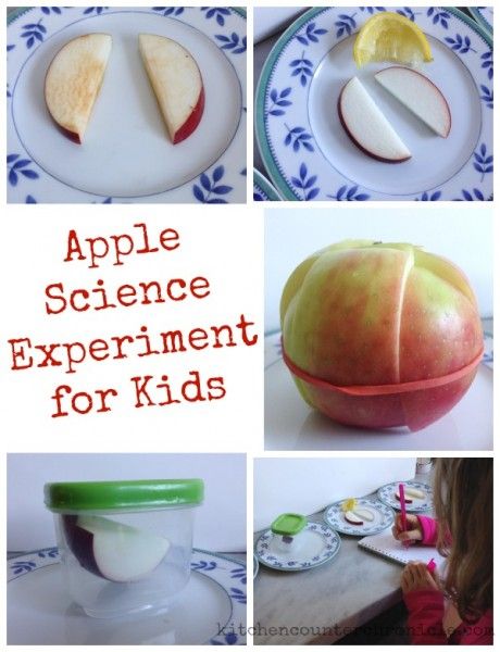 apple science experiment for kids Apple Science Experiments, Apple Unit Study, Apple Science, Preschool Apple Activities, Homeschool Science Experiments, Kitchen Science Experiments, Fall Science, Science Gadgets, Montessori Science