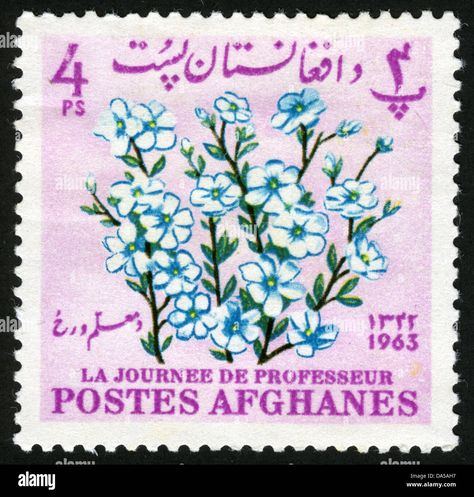 Download this stock image: Afghanistan,post mark,stamp,flowers, plants, flora,flower, - DA5AH7 from Alamy's library of millions of high resolution stock photos, illustrations and vectors. Scrapbook Spreads, Vintage Stamps Postage, Afghanistan Photography, Stamp Drawing, Postage Stamp Collecting, Postage Stamp Design, Flax Flowers, Postage Stamp Art, Vintage Postage