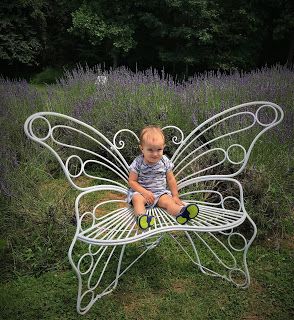 Explore Learn Have Fun! Butterfly Bench, Colourful Armchairs, Leather Butterfly Chair, About Butterfly, Digital Imaging, Metal Chair, Gray Dining Chairs, Metal Plant Stand, Metal Butterfly