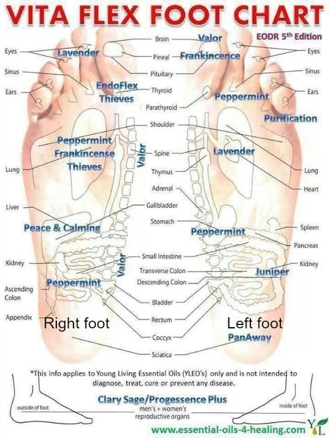 vita flex foot chart Nerve System, Healing Methods, Magic Potions, Reflexology Chart, Essential Oil Remedy, Young Living Essential Oils Recipes, Yl Oils, Oil Remedies, Yl Essential Oils