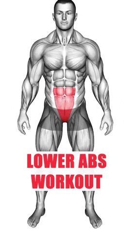 Workout for Lower Abs Belly Fat Workout For Men, Abs And Obliques Workout, Ab Workout Men, Workout Bauch, Abs Workout Video, Workout Training Programs, Abs Workout Gym, Workout For Flat Stomach, Abs And Cardio Workout