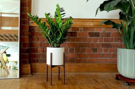 Mid Century Modern Plant Stand, Indoor Plant Shelves, The Sorry Girls, Mid Century Planter, Diy Concrete Planters, Modern Plant Stand, Floating Plants, Living Room Plants, Wooden Plant Stands