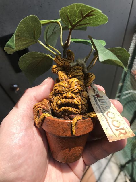 Mandrake inspired by Harry Potter and wizarding world Mandrake Plant Harry Potter, Mandrakes Harry Potter, Harry Potter Ceramics Ideas, Mandrake Sculpture, Clay Mandrake, Mandrake Harry Potter, Harry Potter Art Projects, Harry Potter Plants, Harry Potter Mandrake