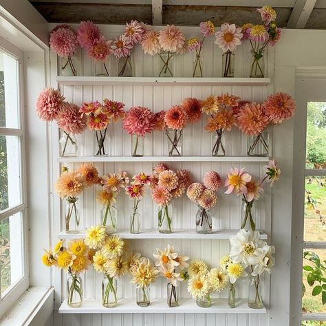 Flower Shop Decor, Flower Shop Design, Growing Dahlias, Flower Truck, Flower Bar, Beautiful Bouquet Of Flowers, Floral Shop, Flower Farm, Decoration Design