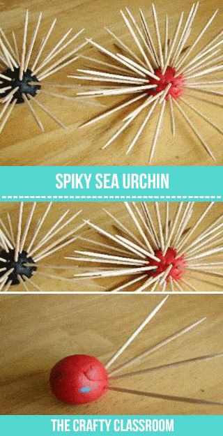 Spiky Sea Urchin Craft for Kids - The Crafty Classroom Sea Urchin Craft, Ocean Art Projects For Kids, Decoration Theme Marin, Coral Reef Craft, Sea Creatures Crafts, Ocean Diorama, Under The Sea Decorations, Ocean Projects, Study Art