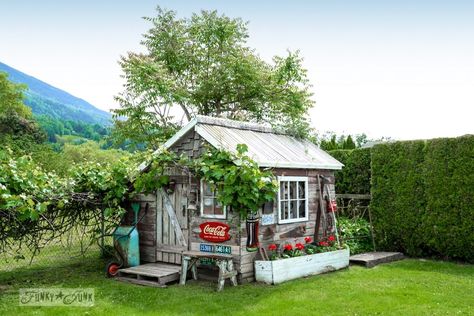 garden shed 2014-3115 Garden Ladder, Rustic Shed, Jardim Diy, Shed Signs, Funky Junk Interiors, Potting Sheds, Vintage Coca Cola, Garden Sheds, She Sheds