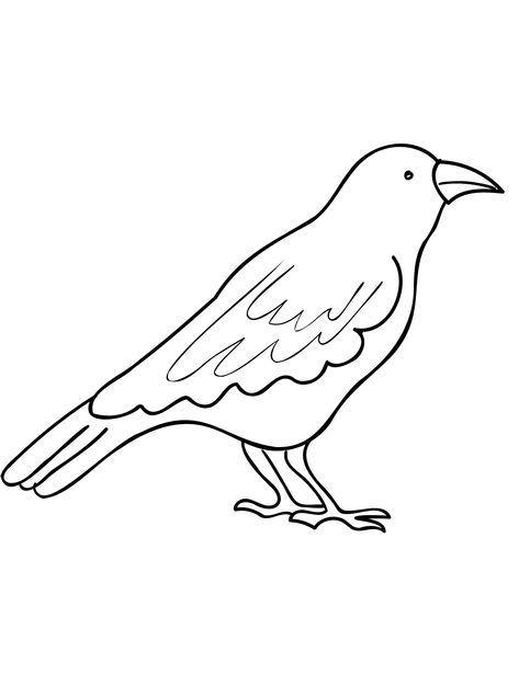 Crows - Lol Coloring Pages Crow Pictures, Crow Images, Lol Coloring Pages, Lol Coloring, Crow Bird, Toddler Arts And Crafts, Crow Art, Toddler Art, Crows