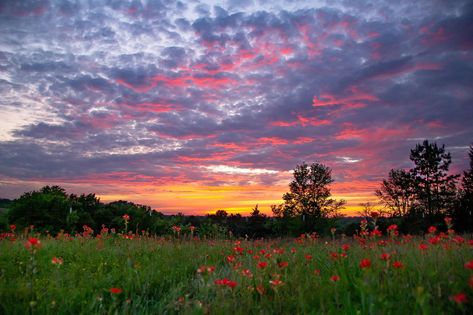 Mum Painting, Flores Wallpaper, Wall Pics, Pretty Landscapes, Spring Wallpaper, Sunset Landscape, Sunset Wallpaper, Pretty Sky, Aesthetic Photography Nature