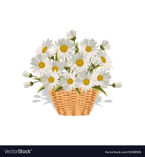 Jainsem Design, Flower Basket Drawing, Basket Illustration, Daisy Illustration, Daisy Baby Shower, Bujo Layout, Basket Drawing, Flower Logo Design, Diy Basket