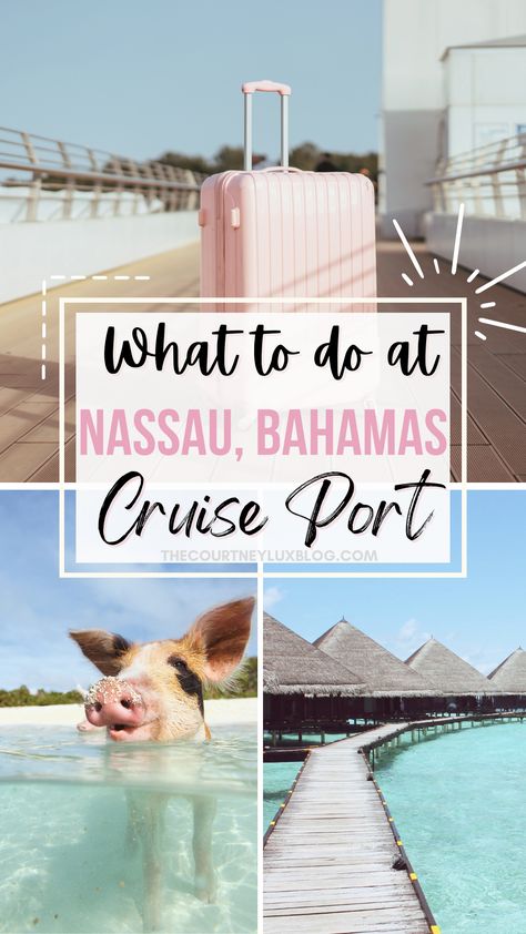 Explore the definitive guide to embracing Nassau, Bahamas directly from the cruise port! Find the best beaches, exhilarating shore excursions, mouthwatering Caribbean delicacies, and Nassau hidden gems. Here's how to spend one day at the Nassau Cruise Port. Tap into your guide for a memorable day at the Nassau Cruise Port! #NassauBahamas #NassauCruisePort #NassauOneDayItinerary #BahamasCruise Disney Cruise Nassau Bahamas, Princess Cays Cruise Port, Nassau Cruise Port, What To Do In Nassau Bahamas, Freeport Bahamas Cruise Port, Things To Do In Nassau Bahamas, Nassau Bahamas Things To Do, Nassau Bahamas Excursions, Nassau Bahamas Aesthetic