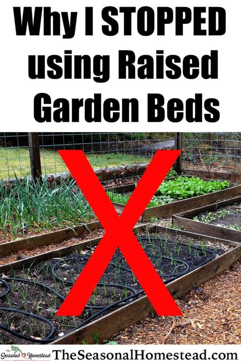 Seasonal Homestead, Raised Garden Beds Diy Vegetables, Nail Art Flower, Garden Bed Layout, Raised Vegetable Gardens, Garden Boxes Raised, Garden Layout Vegetable, Vegetable Garden Planning, Potager Garden