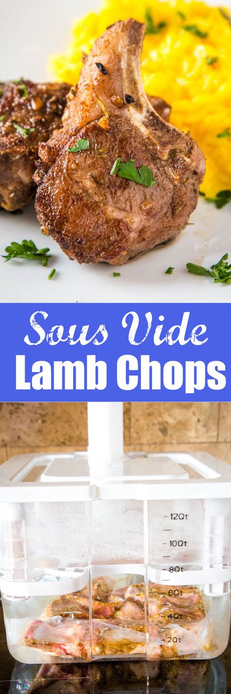 Sous Vide Lamb Chops - Mediterranean lamb chops that are super tender, juicy and cooked perfectly every time! Sous Vide Lamb Chops, Sous Vide Lamb, Mediterranean Lamb, Lamb Chops Recipe, Lamb Loin Chops, Lamb Chop Recipes, Sous Vide Recipes, Sous Vide Cooking, Chops Recipe