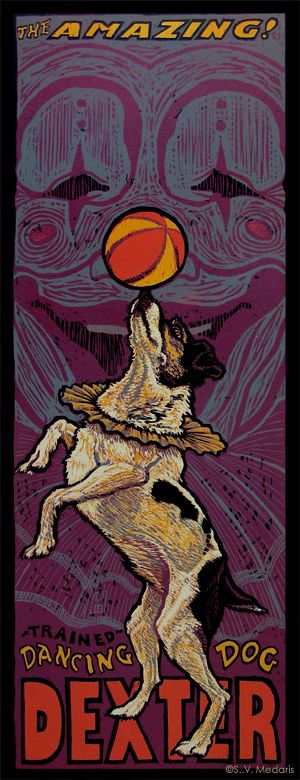 The Amazing Dancing Dog Circus Dog, Circus Tattoo, Famous Clowns, Circus Illustration, Circus Posters, Old Circus, Dog Marketing, Old Posters, Circus Circus