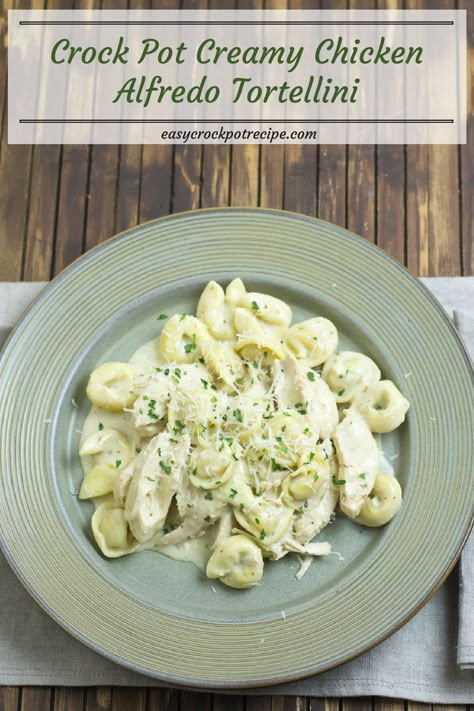 Rice Recipes Crockpot, Chicken And Rice Recipes Crockpot, Tortellini Crock Pot, Crock Pot Chicken Alfredo, Chicken Alfredo Tortellini, Alfredo Tortellini, Crock Pot Tortellini, Crockpot Recipes Mexican, Crockpot Chicken Alfredo