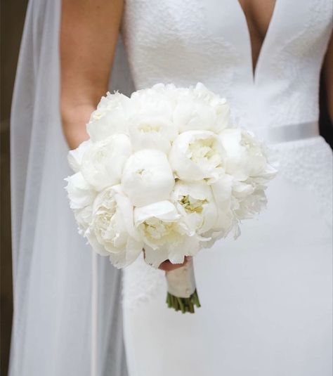 Bridal Bouquet Peonies, Peonies Season, Peony Bouquet, Bridal Bouquet Flowers, Pinterest Makeup, White Peony, Peonies Bouquet, Photoshoot Dress, White Peonies