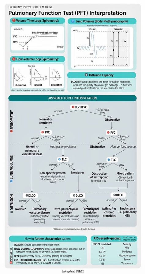 Home / Twitter Med Notes, Pulmonary Function Test, Medical Notes, Bear Drawings, Medicine Notes, Family Nurse Practitioner, Study Essentials, Pulmonology, Respiratory Therapy