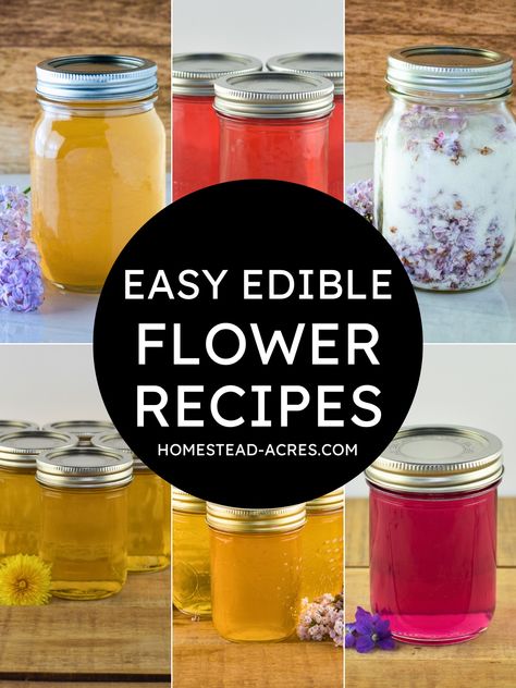 Peony Recipes, Sweets Business, Flower Recipe, Flower Recipes, Compound Butter Recipe, Easy Canning, Edible Flowers Recipes, Dandelion Jelly, Country Things