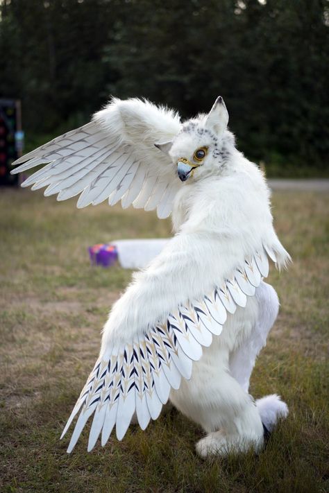 Sora Gryphon - #fursuitfriday Bird Fursuit, Scary People, Cosplay Diy, Skull Carving, Cute Costumes, Creative Halloween Costumes, Pinocchio, Fantasy Creatures, Beautiful Birds