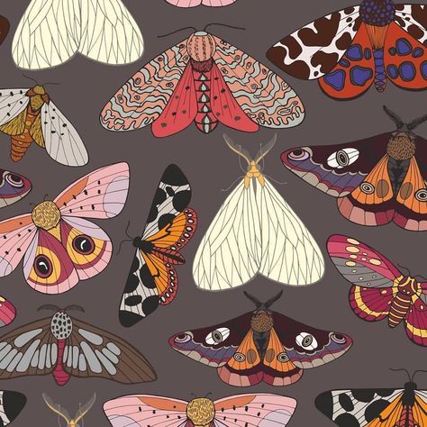 Patternbank on Instagram: “Moths Pattern by Elona Laff Shop @patternbank → Link in bio ・・・ #patternbank #newonpatternbank #patternmaking #patterndesign #moth 📷…” Moth Art, Colors And Patterns, Soyut Sanat Tabloları, Insect Art, Trendy Flowers, Arte Sketchbook, Arte Inspo, Pattern Tattoo, Butterfly Art