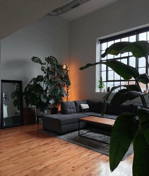 Man Appartment Ideas, Minimalist Apartment With Plants, Monstera Living Room, Boy Apartment Aesthetic, Dark Minimalist Apartment, Male Interior Design, Edgy House, Guy Apartment, Male Living Room