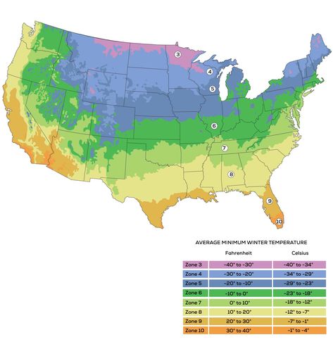 October Planting Zone-by-Zone - Harvest to Table Growing Zones Map, Herb Garden Outdoor, Planting Zones Map, Plant Hardiness Zone Map, White Flower Farm, Zone 7, Plant Zones, Zone 9, Plant Catalogs