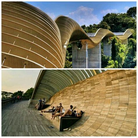 Henderson Waves Bridge The highest pedestrian bridge in Singapore. This 9 km structure connects Mount Faber Park with Telok Blangah Hill Park. Singapore Moodboard, Urban Places, Henderson Waves, Dark Sunglasses, Hill Park, Pedestrian Bridge, Travel Photo, Cloud Gate, Travel Photos